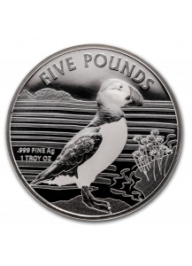 Alderney 2019 Puffin - Papageientaucher Silber 1 oz 