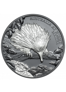 Niue 2020  Echidna - Ameisenigel Serie: Australien bei Nacht Silber 1 oz  Black Proof