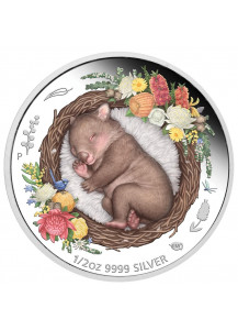 Australien 2021 WOMBAT - Serie Dreaming Down Under  Silber 1/2 oz  