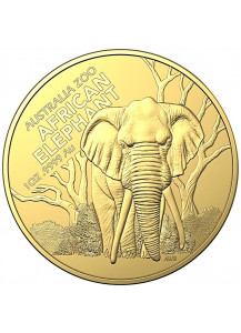 Australien 2022 AFRIKANISCHER ELEFANT Australia Zoo Gold 1 oz