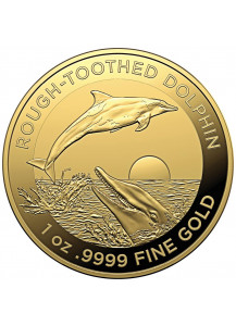 Australien 2023 ROUGH - toothed  Dolphin -  Rauzahn - Delphin Gold 1 oz