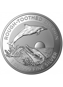 Australien 2023 ROUGH - toothed  Dolphin -  Rauzahn - Delphin Silber 1 oz