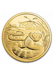 Australien 2024 TIGER SNAKE   Australians most dangerous Gold 1 oz