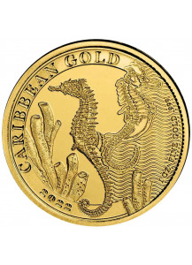 Barbados 2022 Seahorse - Seepferd Gold 1 oz