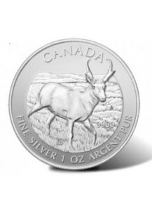 Canada 2013 Antilope Silber 1 oz Serie Wildlife
