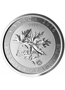 Canada 2016 Multi - Maple Leaf  Superleaf  1,5 oz Silber