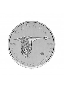 Canada 2020  GOOSE - WILDGANS Silber 2 oz