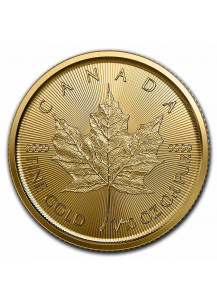 Canada 2023 Maple Leaf  Gold 1/10 oz