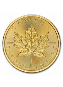 Canada  2024 Maple Leaf  Gold 1 oz