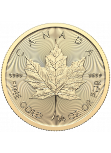 Canada 2025  Maple Leaf  Gold 1/4 oz
