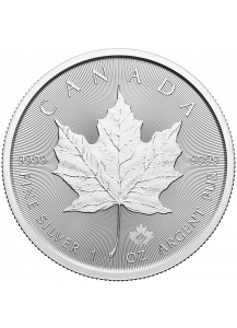  Canada  2026  MAPLE LEAF Silber 1 oz 