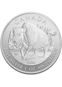 Canada 2013 Bison  Silber 1 oz Wildlife Serie