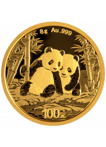China 2026  Panda    Gold 8 g