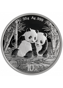China 2026  Panda  Silber 30 g 