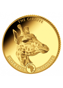 Congo 2019   GIRAFFE - World`s Wildlife Serie Gold 0,5 g PP