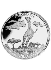 Congo 2019   GIRAFFE - World`s Wildlife Serie Silber 1 oz - Kongo