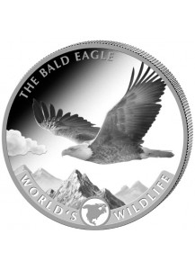 Congo 2021 Bald Eagle - Weisskopfseeadler  - World`s Wildlife Serie Silber   1 oz - Kongo