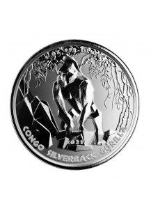 Congo 2021  Silverback -  Silberrücken Gorilla Silber