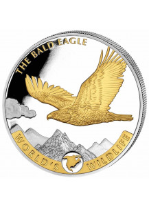 Congo 2021 Bald Eagle - Weisskopfseeadler  - World`s Wildlife Serie Silber  VERGOLDET  1 oz - Kongo