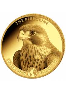 Congo 2024  WANDERFALKE - World`s Wildlife Serie Gold 0,5 g Kongo