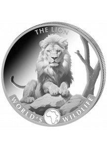 Congo 2025  LION - LÖWE  World`s Wildlife Serie Silber   1 oz - Kongo
