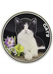 Fiji 2022 CATS Silber 1 oz  FARBE  Fidschi Inseln 2022