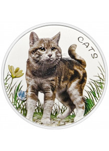 Fiji 2021 CATS Silber 1 oz  FARBE  Fidschi Inseln 2022