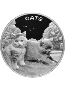 Fiji 2024 CATS Silber 1 oz Fidschi Inseln