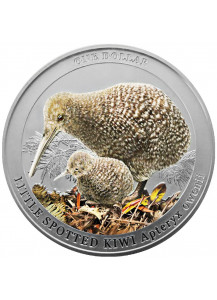 Neuseeland 2022  Pukupuku Kiwi  Silber 1 oz Farbe - polierte Platte