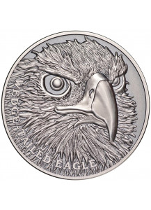 Niue 2019  Wedge Tailed Eagle - Serie Wildlife Ultra High Relief Silber 1 oz