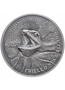 Niue 2020  Kragenechse - Serie Wildlife Ultra High Relief Silber 1 oz