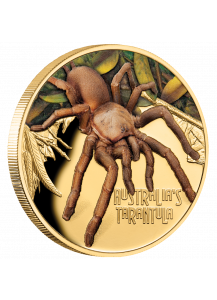 Niue 2020 Tarantula Serie: Deadly & Dangerous Gold 1 oz - polierte Platte