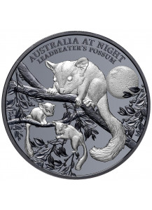 Niue 2022  Hörnchenbeutler  Serie: Australien bei Nacht Silber 1 oz  Black Proof