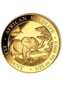 Somalia 2019   Elefant    Gold 1/25 oz