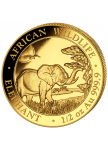 Somalia 2019   Elefant  Gold 1/2 oz