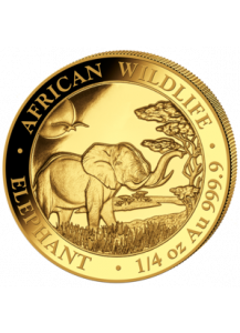 Somalia 2019   Elefant  Gold 1/4 oz