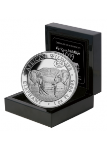 Somalia 2019   Elefant Privy  ANA  Platin 1 oz  Auflage 25 Stück 