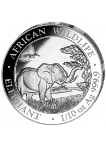 Somalia 2019   Elefant 1/10 oz Silber