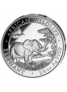 Somalia 2019   Elefant 1/4  oz Silber