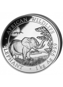 Somalia 2019   Elefant  Silber 1 Kilo  