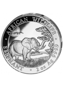 Somalia 2019   Elefant   2 oz  Silber