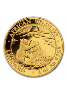 Somalia 2019  Leopard  Gold 1 oz