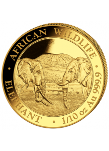 Somalia 2020  Elefant  Gold 1/10 oz