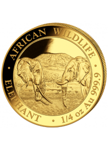 Somalia 2020   Elefant  Gold 1/4 oz
