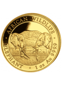 Somalia 2020  Elefant  Gold 1 oz