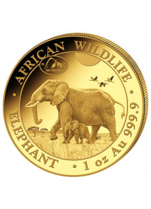 Somalia 2021   Elefant Privy  ANA  Gold 1 oz  Auflage 100 Stück 