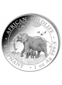 Somalia 2021  Elefant Privy  ANA   Chicago  1 oz Silber