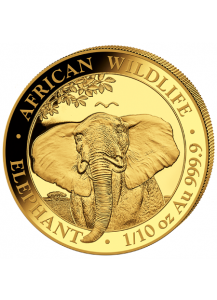 Somalia 2021  Elefant  Gold 1/10 oz