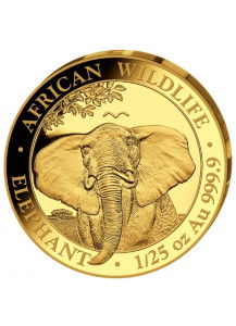 Somalia 2021   Elefant    Gold 1/25 oz