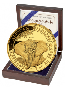 Somalia 2021   Elefant Privy  Ochse 1 oz Gold Auflage 100 Stück